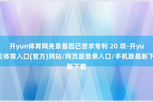 开yun体育网尧景基因已苦求专利 20 项-开yun云体育入口(官方)网站/网页版登录入口/手机版最新下载