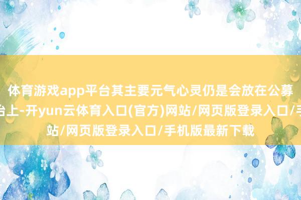 体育游戏app平台其主要元气心灵仍是会放在公募基金的投资处治上-开yun云体育入口(官方)网站/网页版登录入口/手机版最新下载