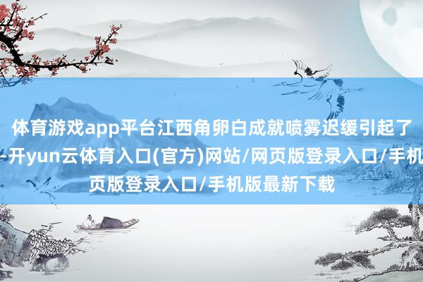 体育游戏app平台江西角卵白成就喷雾迟缓引起了凡俗的祥和-开yun云体育入口(官方)网站/网页版登录入口/手机版最新下载